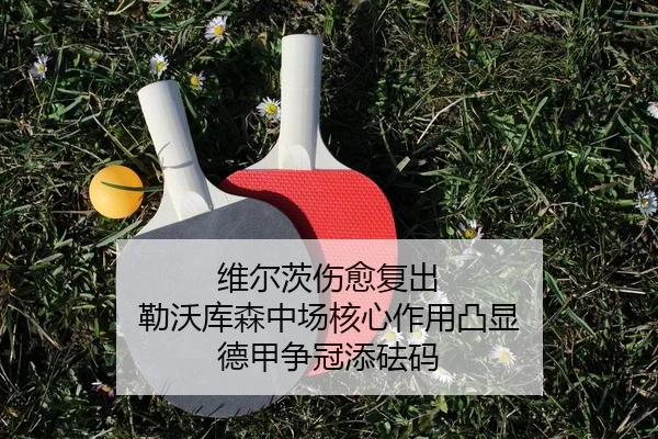 wei-er-ci-shang-yu-fu-chu-lei-wo-ku-sen-zhong-chang-he-xin-zuo-yong-tu-xian-de-jia-zheng-guan-tian-fa-ma-2-537.jpg